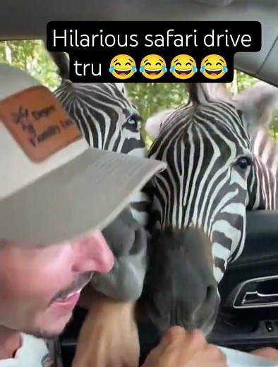 drooling 🤤😂😂😂#shortsvideo #funny #shortsfeed #fypシ゚viral #fypシ #fyp#fypage #shorts