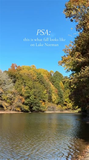 PSA: This is what fall looks like on Lake Norman  Whether you’re visiting for a cozy weekend or house hunting for your forever lake home—there’s no better backdrop than this  877-SoCharm or visit SoCharm.com #lakenormannc #fallgetaway #lakenormanrealestate #lakenormanliving #lkn #lakenormanrealtor #lakelife #lakenorman | Southern Charm Realty & Retreats | Facebook