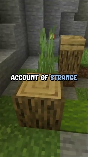 From Reddit to Bestseller: The Penpal Phenomenon