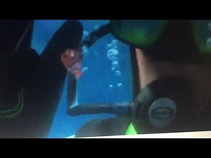 Finding Nemo - Nemo Gets Captured