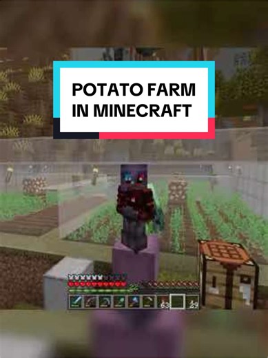 POTATO FARM IN MINECRAFT #minecraft #survival #save #singleplayer #potato