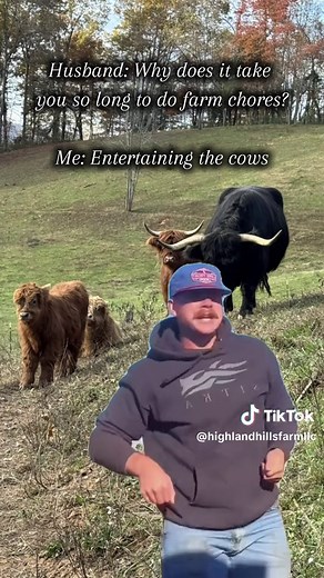 Exploring Highland Cattle on North Carolina Farms