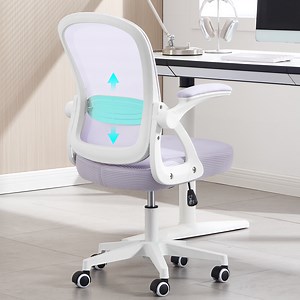 Nexthro Ergonomic Office Chair, Ergonomic Desk Chair with Adjustable Lumbar Support, Mesh Computer Chair with Comfy Flip-up Armrests, Executive Task Chair for Home Office (White/Lavender) - Walmart.com