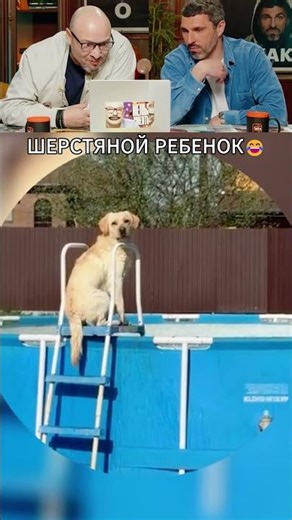 ЗАСМЕЯЛСЯ - ПОДПИСАЛСЯ! Ч.255😂 ОЧЕНЬ СМЕШНО!
