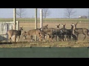 Amish Village Tour -Lancaster, PA
