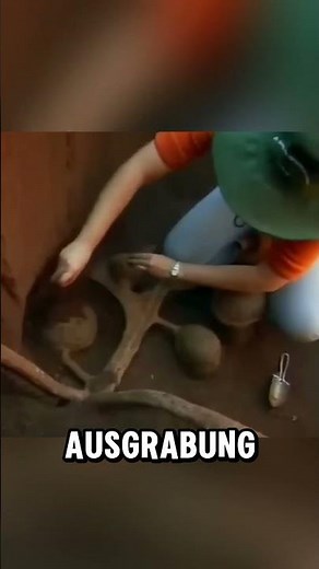 The world's largest ant colony discovered! 🐜🏙️