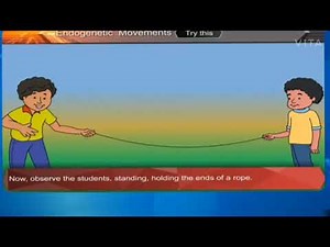 Endogenetic Movements | Geography | Class 9 | English Medium | MSBSHSE
