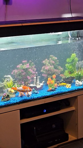 #lally1millionfollowerschallenge by Lally M #LallyMFandom #posteverydaychallenge #stayconsistent #staysafe #LetsGrowTogether #funnyreels #2025songchallenge #fun #funnyreels #funnyvideos #funny #funnymoments #funnymemes #Amazing #dance #letsgo #LetGoAndGrow #everyonehighlightsfollowers @highlight One happy beautiful day on are engagement days at the beautiful #turkey #icmeler Hi everyone! 🌟 You can support me by sending Stars – they help me earn money to keep making content that you love. Whenev