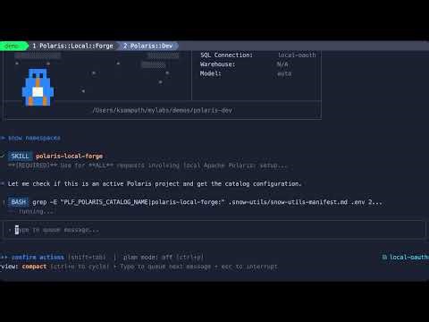 Local Apache Iceberg + Polaris Setup (Under 5 Minutes)