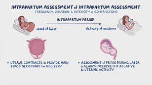 Video: Intrapartum assessment - Uterine activity: Nursing - Video Explanation! | Osmosis | Osmosis