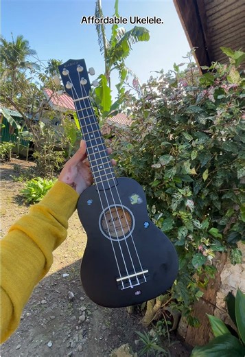 Affordable Ukulele for Beginners: Start Your Musical Journey