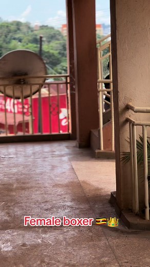 Female Boxer from Uganda with Dreadlocks at Bryan Barber 256 Barbershop