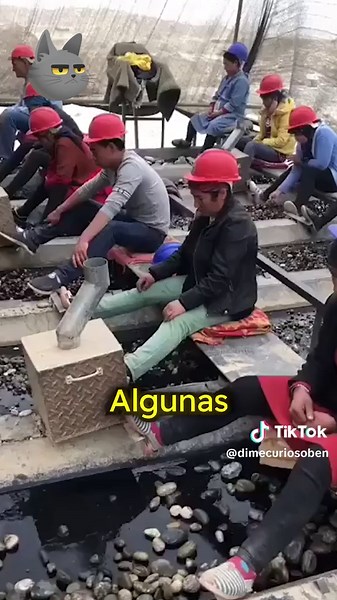 El trabajo más fácil del mundo en China