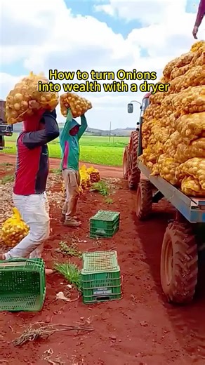 Transform Onions into Profitable Products Easily