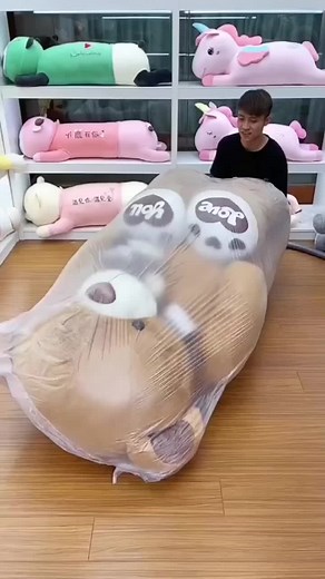 Dm us for order! Insta Teddybearshopnepal fb Teddy bear shop Nepal #viral #trending #fyp #deliveryallovernepal🇳🇵 #onlinestore #dmfororder #dm #dolls #teddybear #teddybearshopnepal #teddy