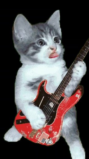 259K views · 4.6K reactions |  | The Talking Bro | Facebook