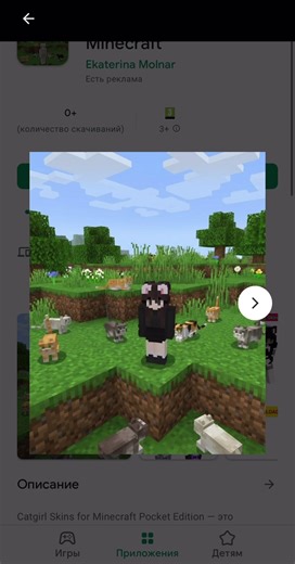 Catgirl skins for minecraft #stealabrainrot #pvp #sabpvp #garamaandmadundung #crazy #minecraft #cat