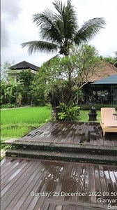 Plataran Hotel & Resort, Ubud, Bali. Des 2022 - 02.