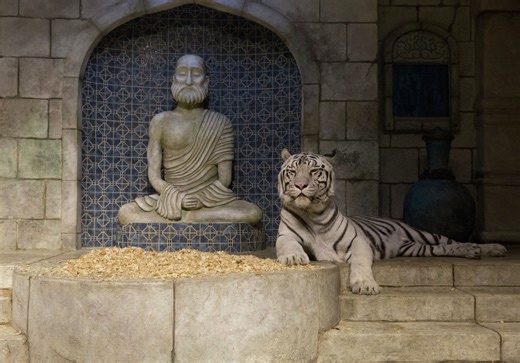 Beloved tiger at Houston's Downtown Aquarium dead after 'tough decision'