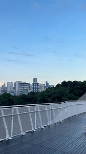 29 reactions · 26 comments | Henderson Waves is Singapore's highest pedestrian bridge. Standing at 36 metres above ground and 274 metres length with 7 undulating curved ribs creating its unique wave-like shape | Ri Pon | Facebook