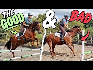 First EVER Time Jumping Baby Horse!!