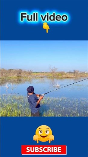 ఈ కప్పలు వాడి ఎన్ని చేపలు ఐనా పట్టొచ్చు 😱!