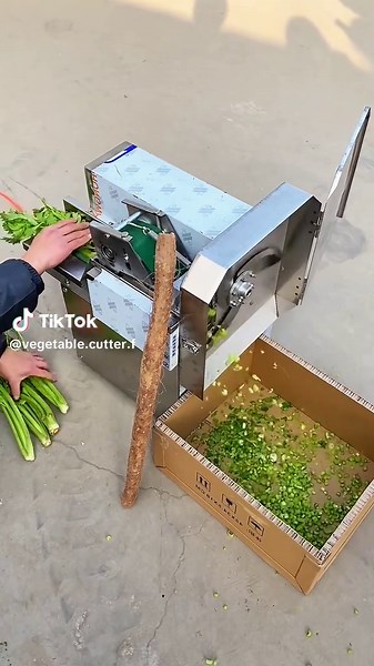 High-Quality Vegetable Cutter Manufacturer for Kitchens
