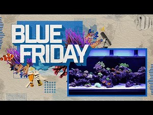 Exploring the Infinia – Building a Successful Reef Aquarium