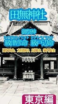 【東京編】田無神社 #参拝 #文化財 #神社 #パワースポット #開運 #芸能