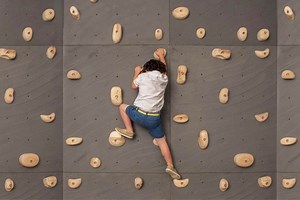 Introduction | Collège de France