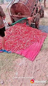 Fastesr Workers Super Human Level 2020 - People Are Amazing | Darrin Henson