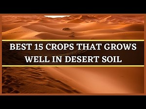 DESERT SOIL: BEST 15 CROPS THAT GROWS WELL IN DESERT SOIL | DESERT FARMING