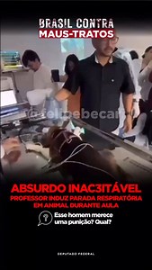 261K views · 2.9K reactions | Um animal sofrendo na mão de quem...