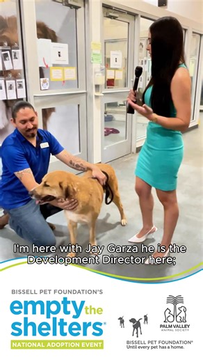 Empty the Shelters® Returns This October! 💙💚 From October 1–15, 2025, BISSELL Pet Foundation is partnering with Palm Valley Animal Society to Waive Adoption Fees* on all shelter pets! 🐾 Adoption Fees Waived* On All Shelter Pets at Both PVAS Locations! $50 Spay & neuter fee required if pet is not altered. Right now, shelters across the country are going through a tough time—intakes are high, kennels are crowded, and pets are waiting. Your choice to adopt makes space and saves lives🏡 Since 201