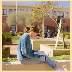 What Does The Bible Say About Work?