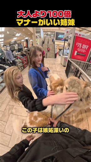 上位1％の礼儀正しい子供たちの見本