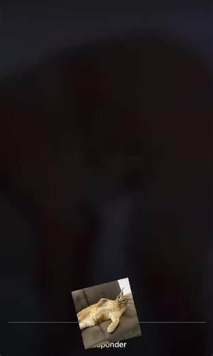 Salsa Baúl: El Amor y la Música Venezolana