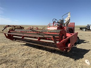 1980 Massey Ferguson 775 Windrower & Trailer | Agriculture