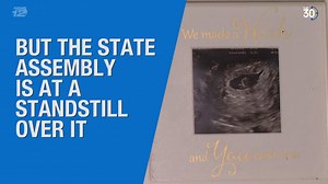 The 30: Wantagh resident hopes NY passes law to make paid surrogacy legal | News 12 Long Island