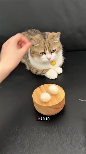 Marie899 (@redandroid1)’s videos with original sound - Marie899