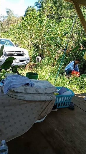 Flo Progressive Commercial