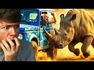 CRAZY CRASHES with UNEXPECTED ANIMALS!? (BeamNG Drive)