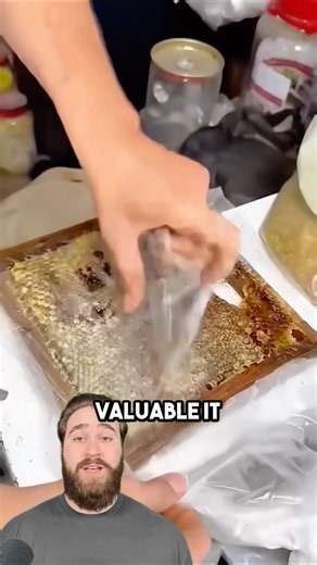 Why 50-Year-Old Honey Can Be Worth a Fortune
