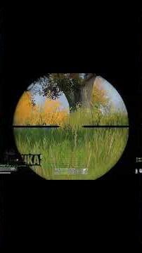 Dayz Командная работа 2 #dayzmod