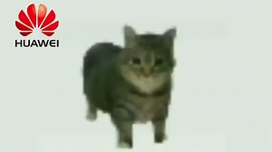OIIAOIIA CAT 但著名的手机铃声