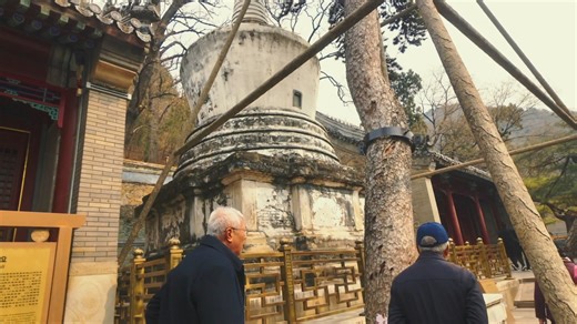 来去潭柘寺