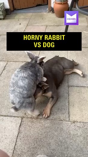 2.4M views · 6.3K reactions | Calm down little bud | Memes | Facebook