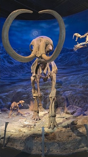 Mammoth Takedown