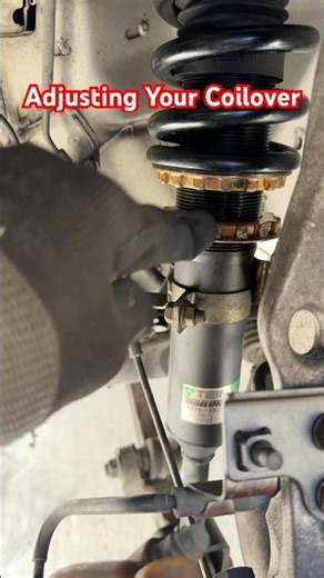 How to adjust your coilover/suspension #SHORTS #techtips #techtip #automobile #automotivetips