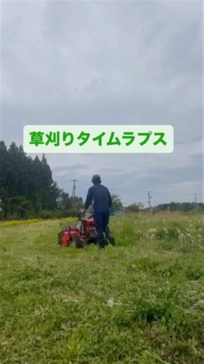 土地が芝生のように、ブッシュカッタージョージJr.タイムラプス#shorts
